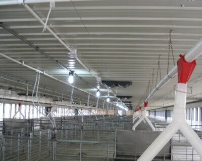 Prefabricated Steel Structure Hog House